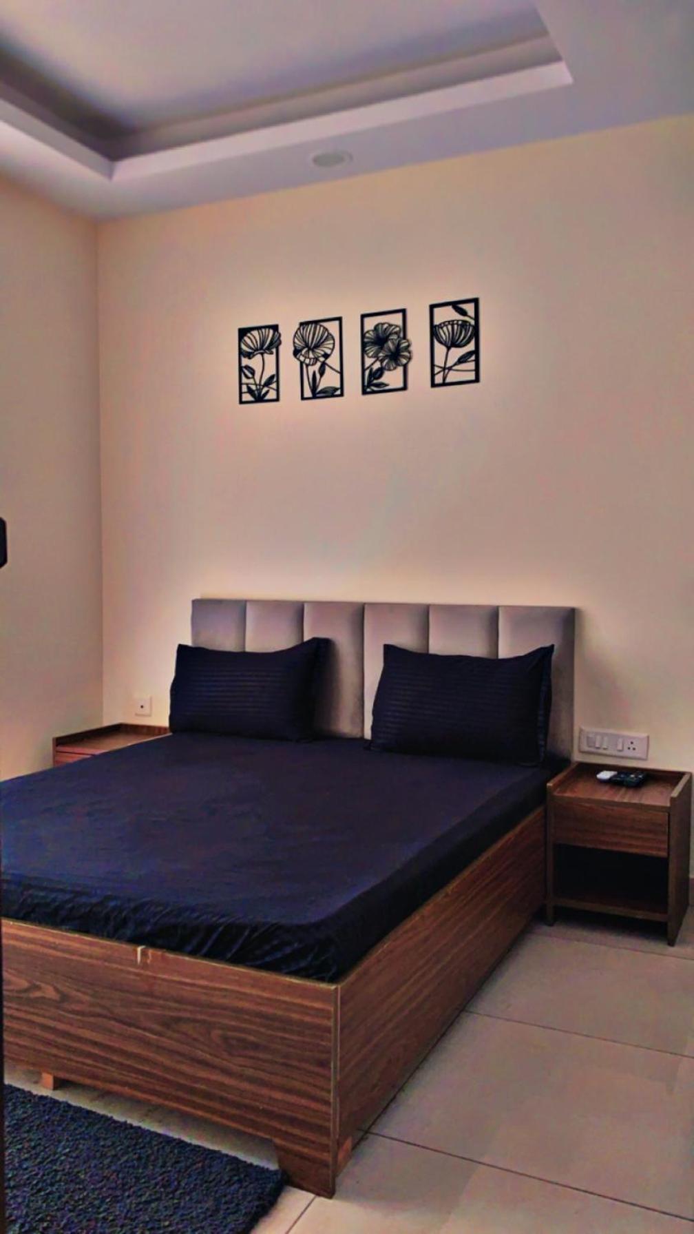 The Soho Nest