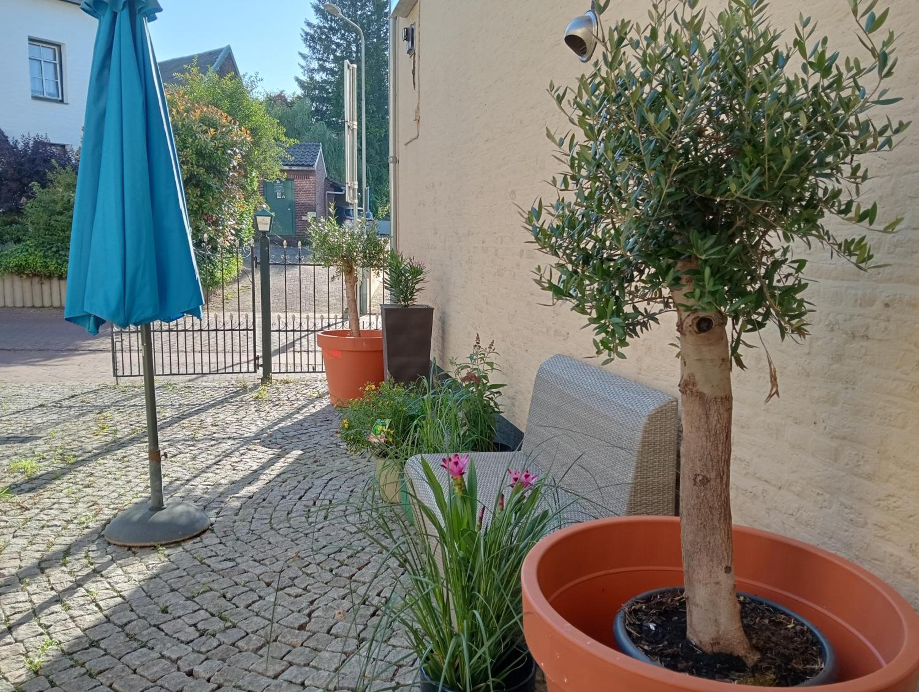 BnB Het Geluk van Limburg