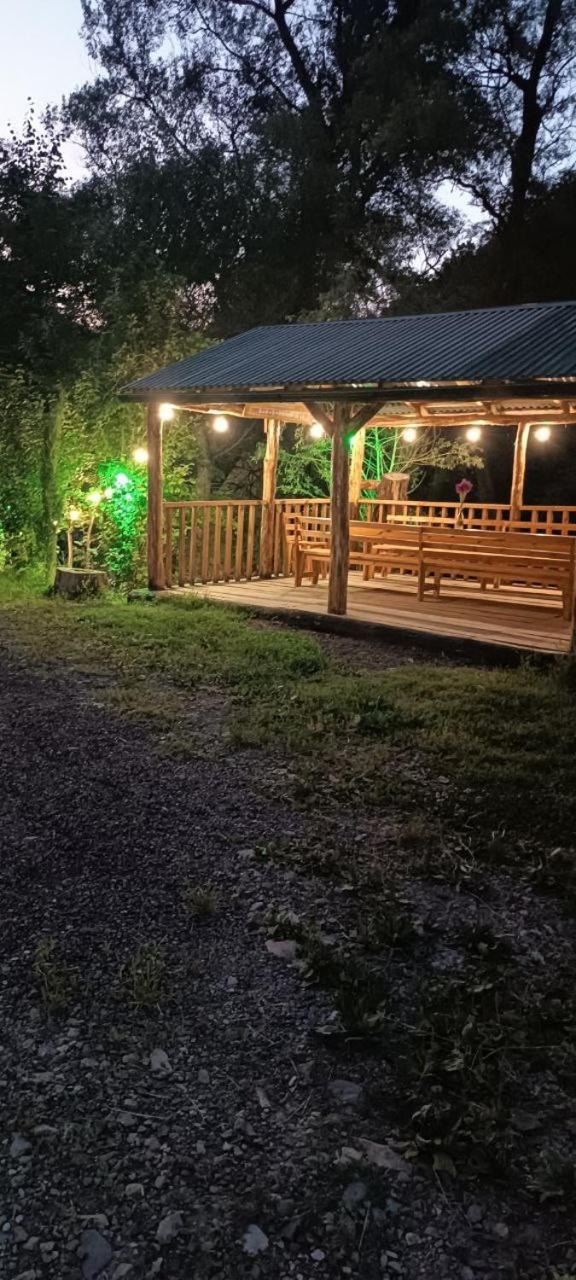 Forest Guest House