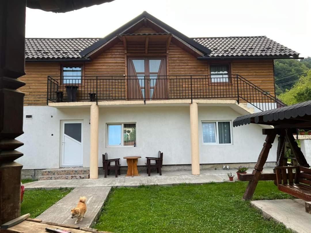 Cabana plaiului