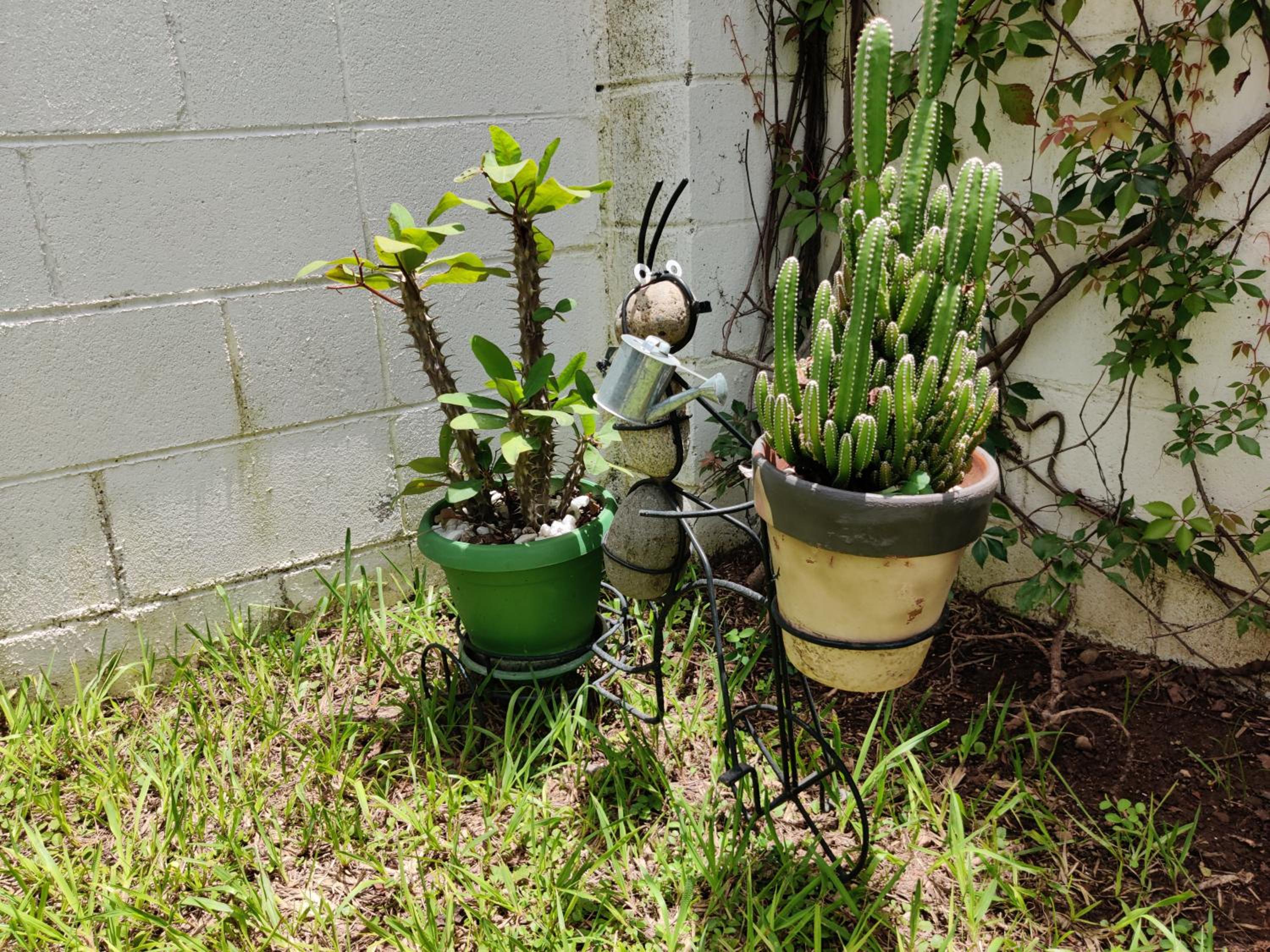 Photo 12