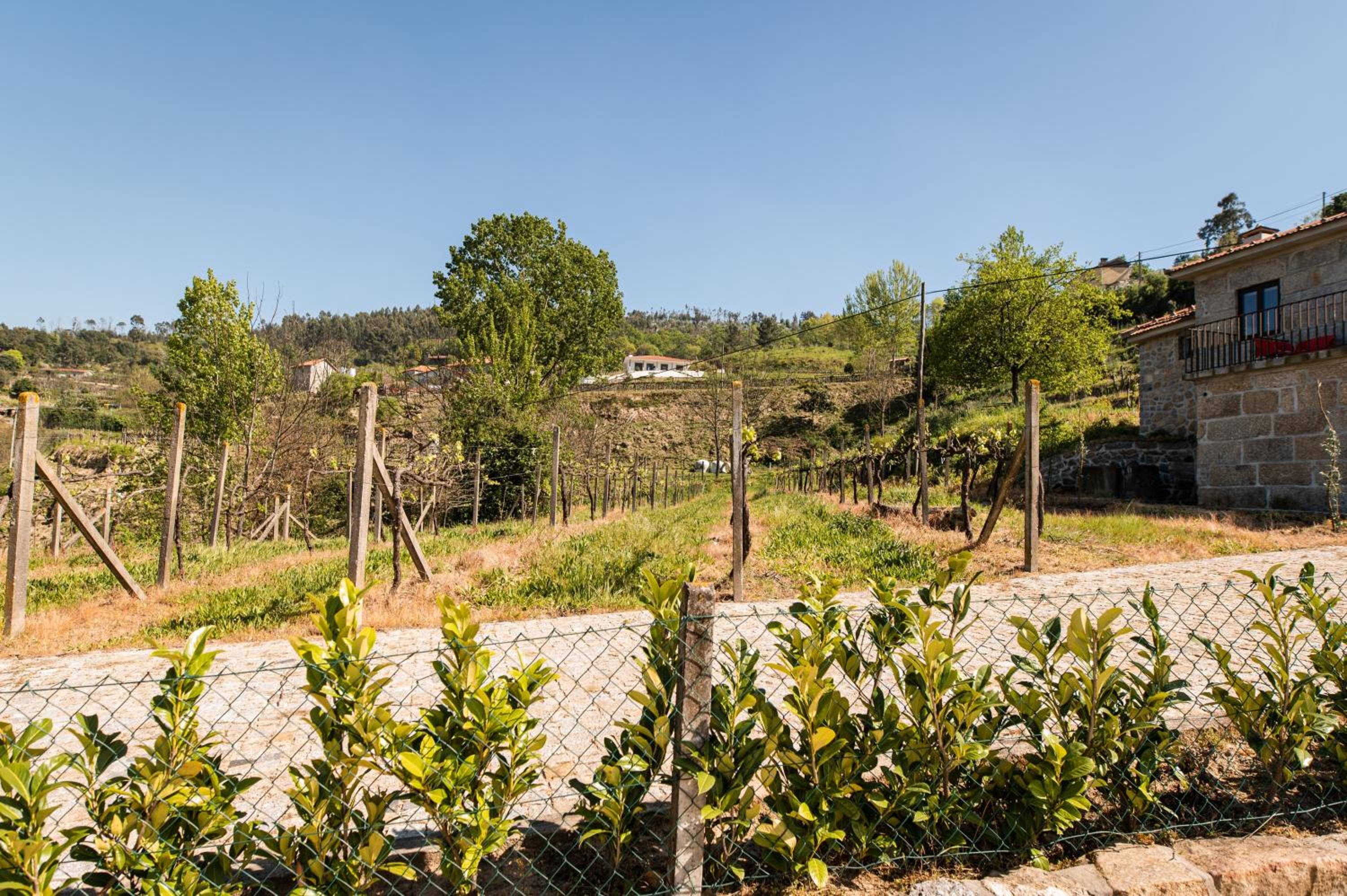 Charming House in Fornos with shared pool view 4
