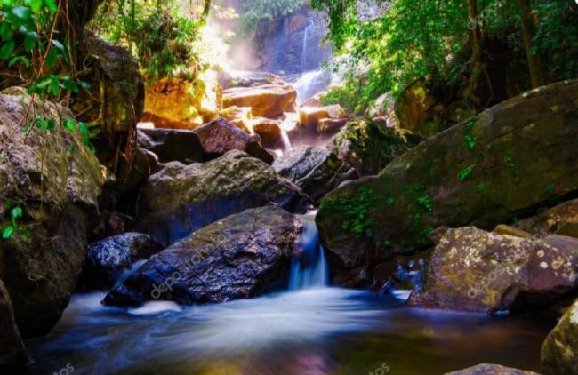 Woodland Hideaway in Sinharaja