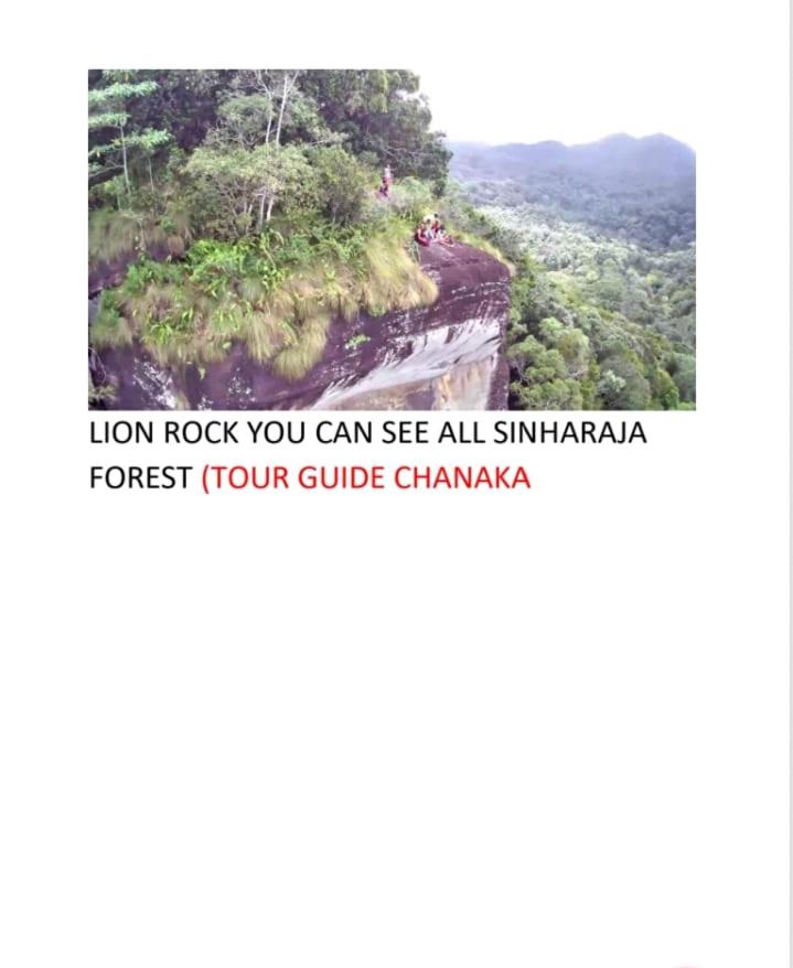 Woodland Hideaway in Sinharaja