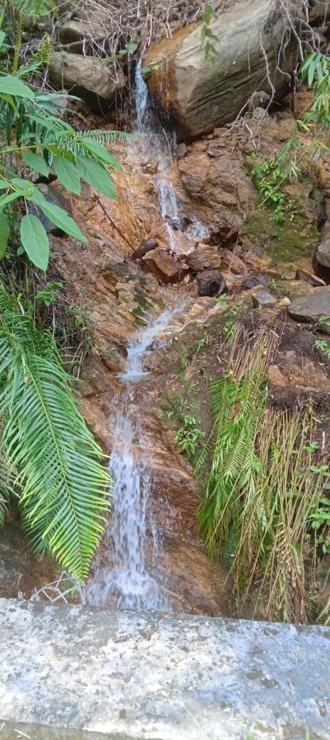 Woodland Hideaway in Sinharaja