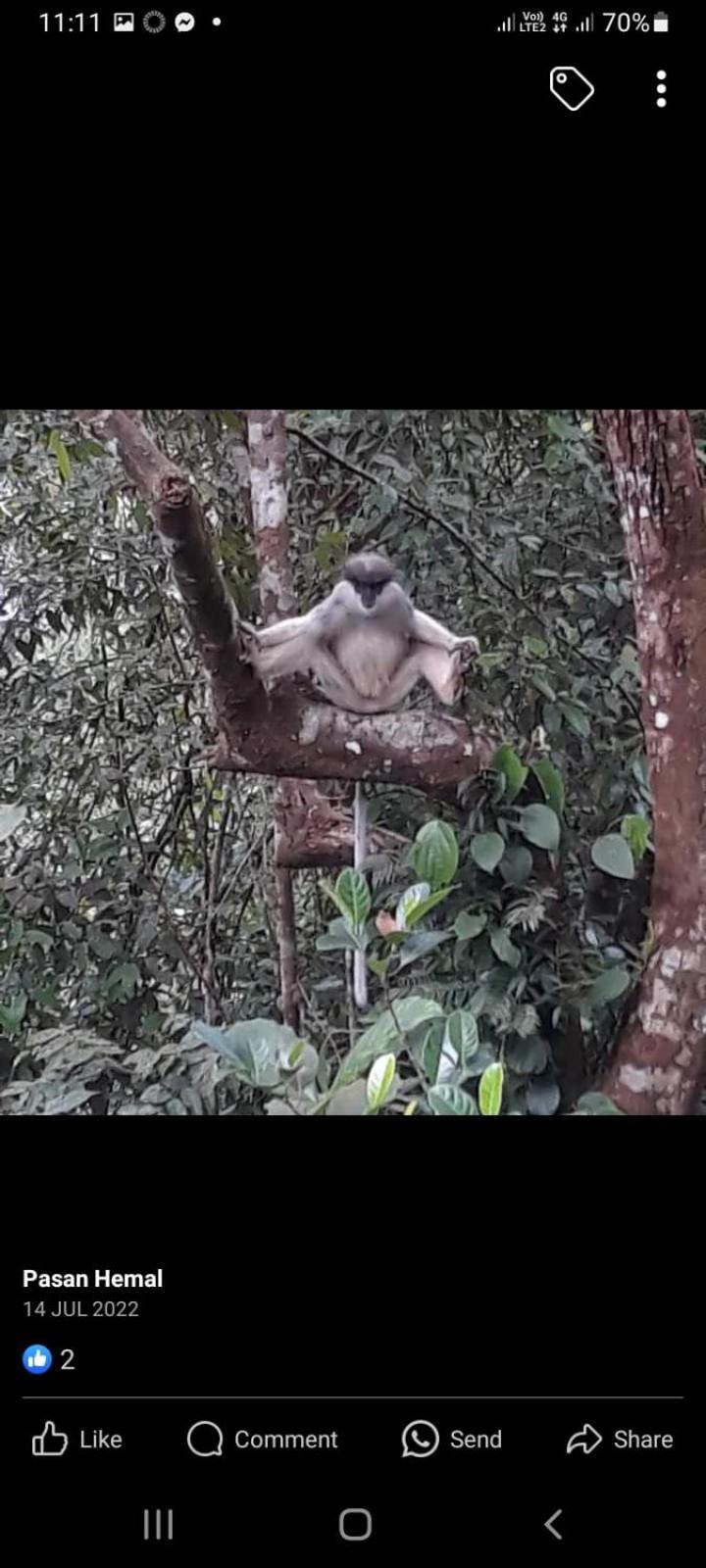Woodland Hideaway in Sinharaja