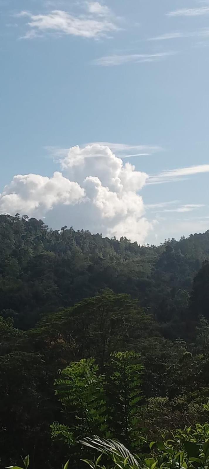 Woodland Hideaway in Sinharaja