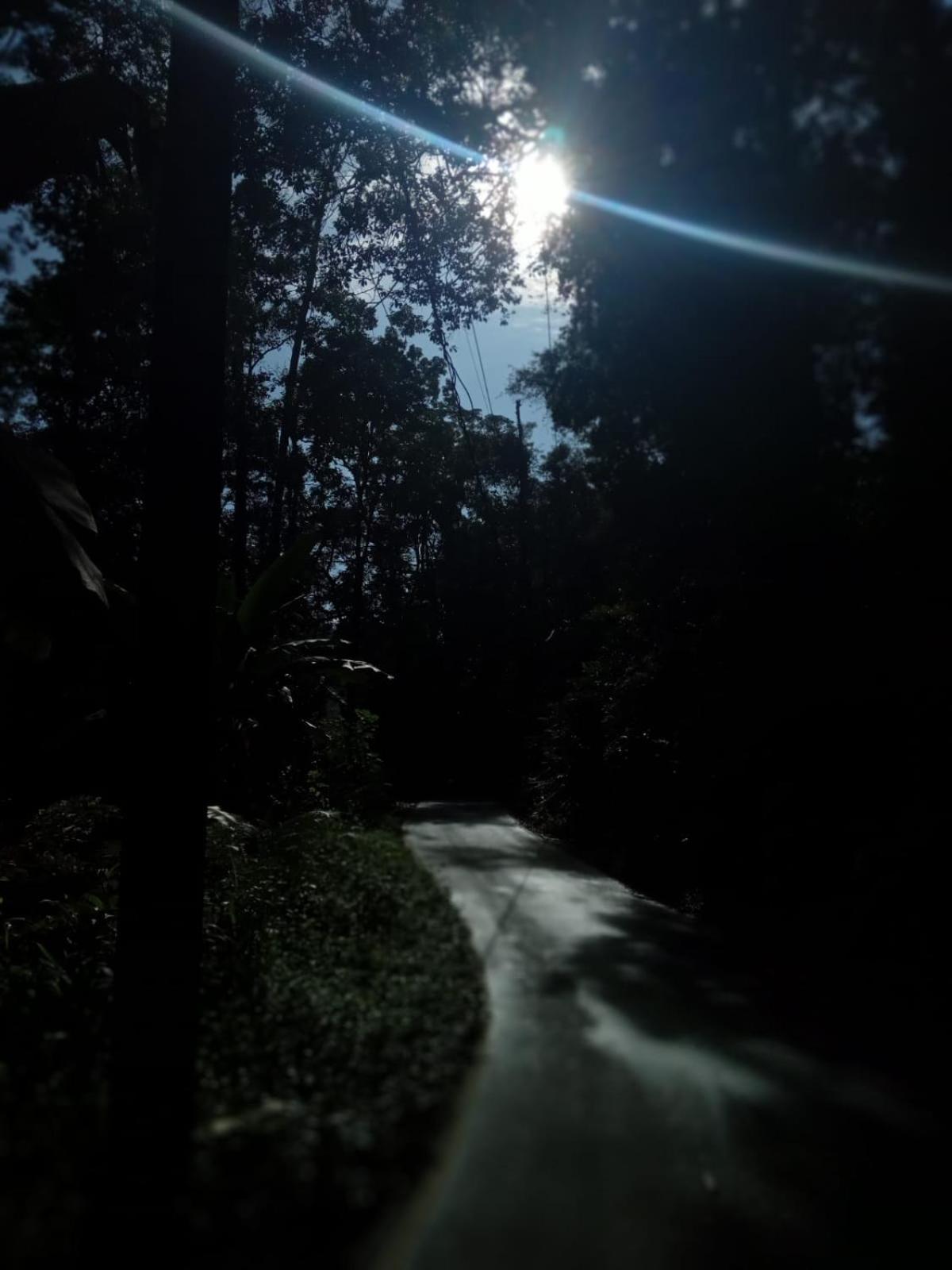 Woodland Hideaway in Sinharaja