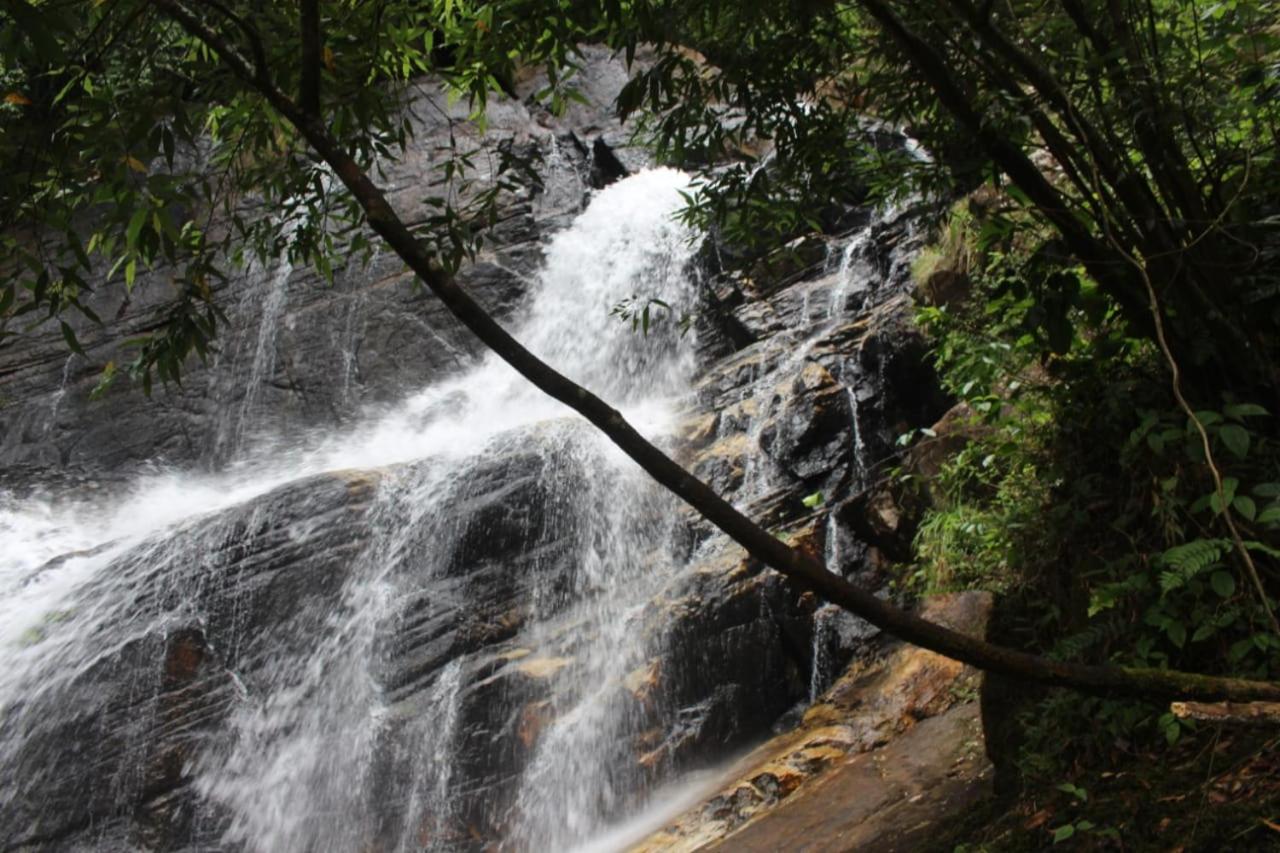 Woodland Hideaway in Sinharaja