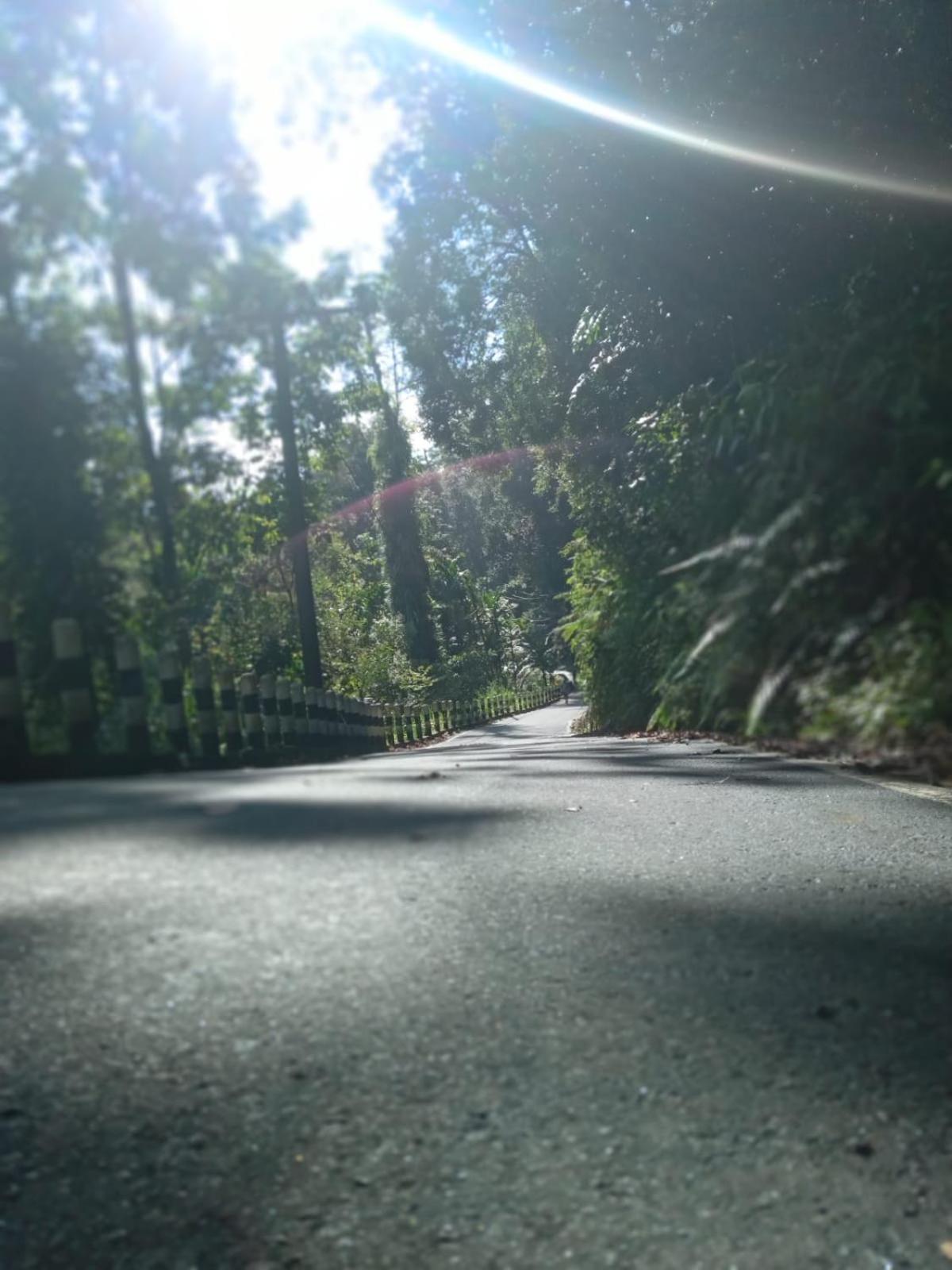 Woodland Hideaway in Sinharaja