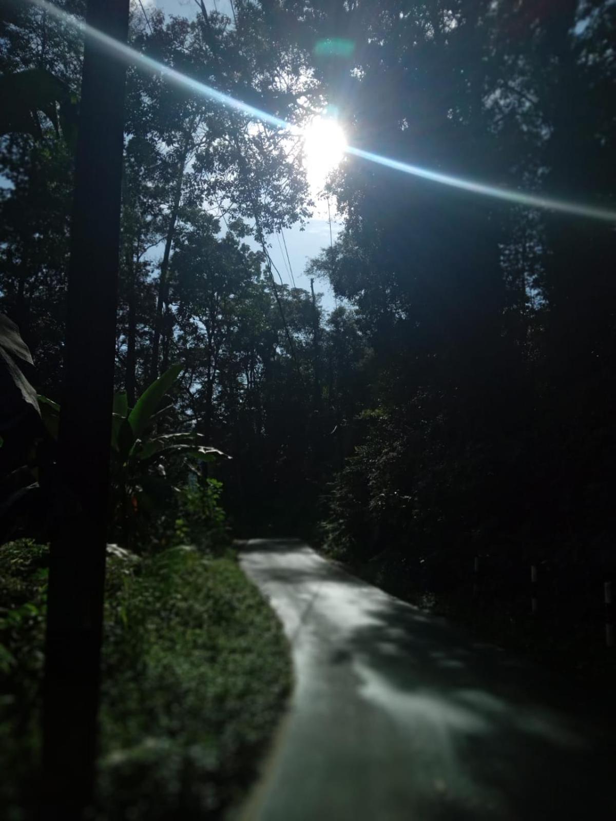 Woodland Hideaway in Sinharaja