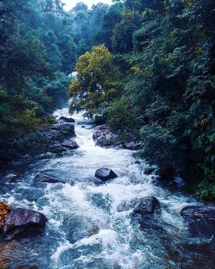 Woodland Hideaway in Sinharaja