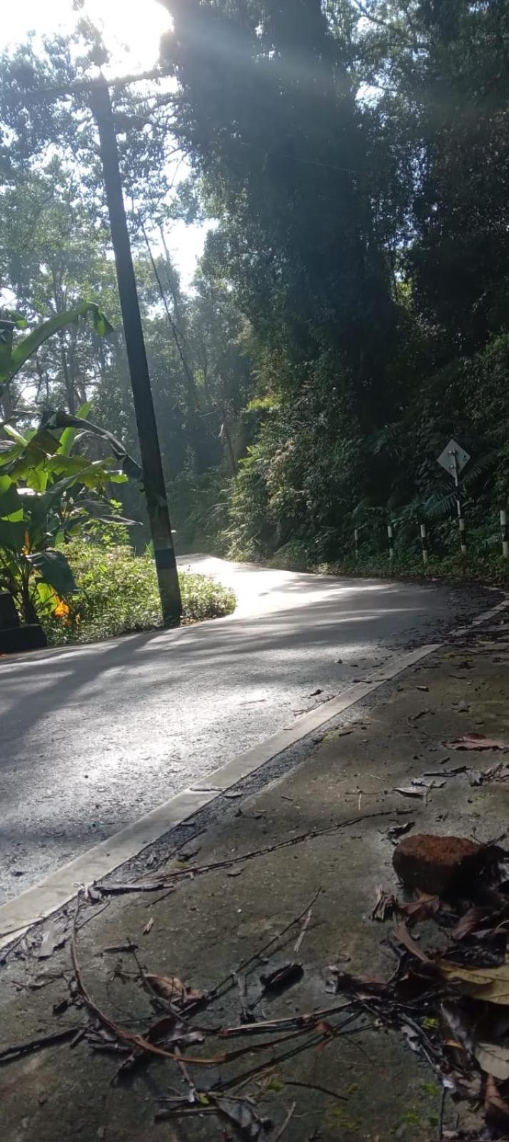 Woodland Hideaway in Sinharaja
