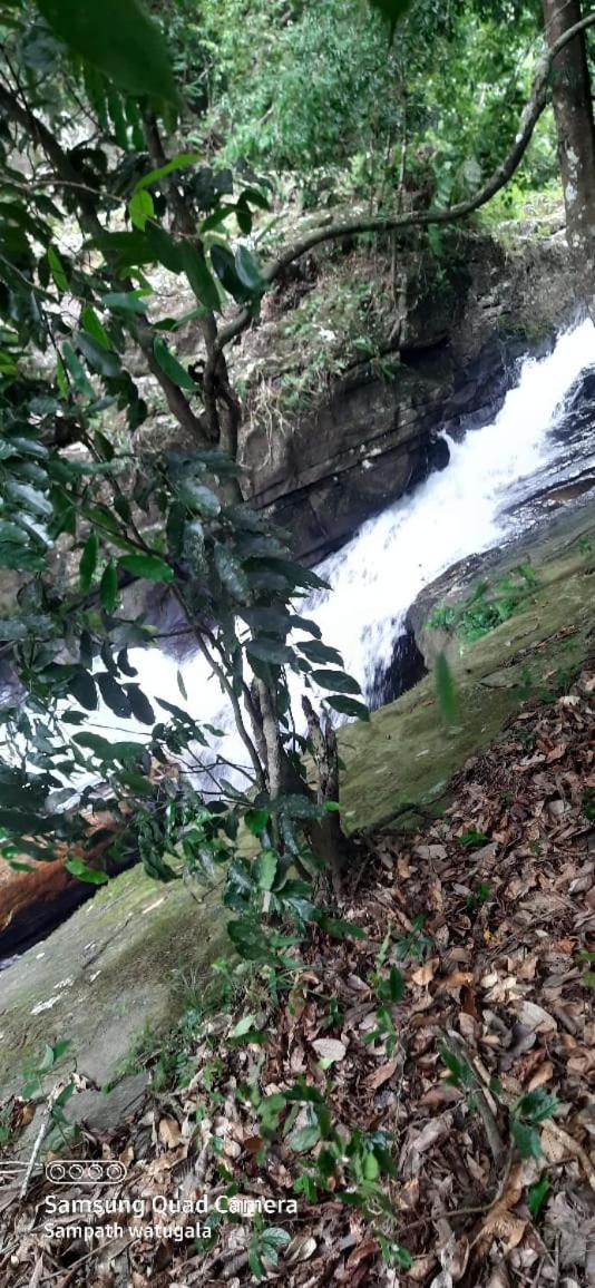 Woodland Hideaway in Sinharaja