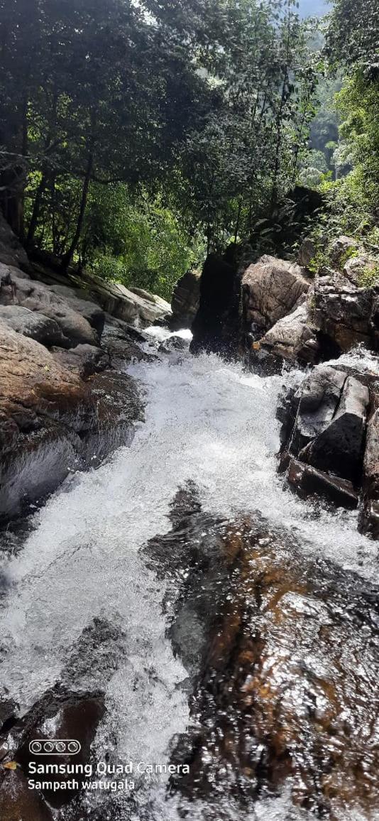 Woodland Hideaway in Sinharaja