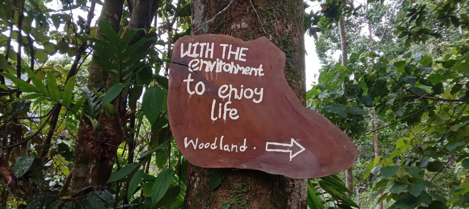 Woodland Hideaway in Sinharaja