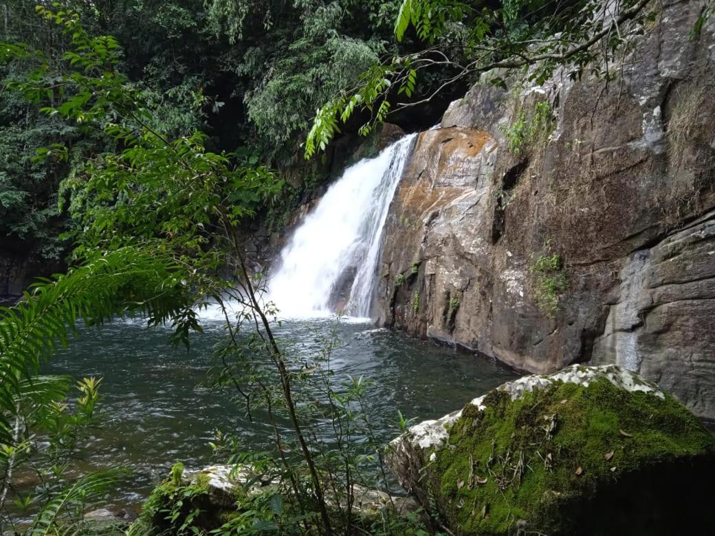 Woodland Hideaway in Sinharaja