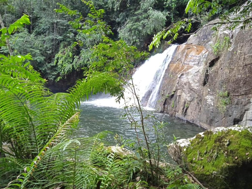 Woodland Hideaway in Sinharaja