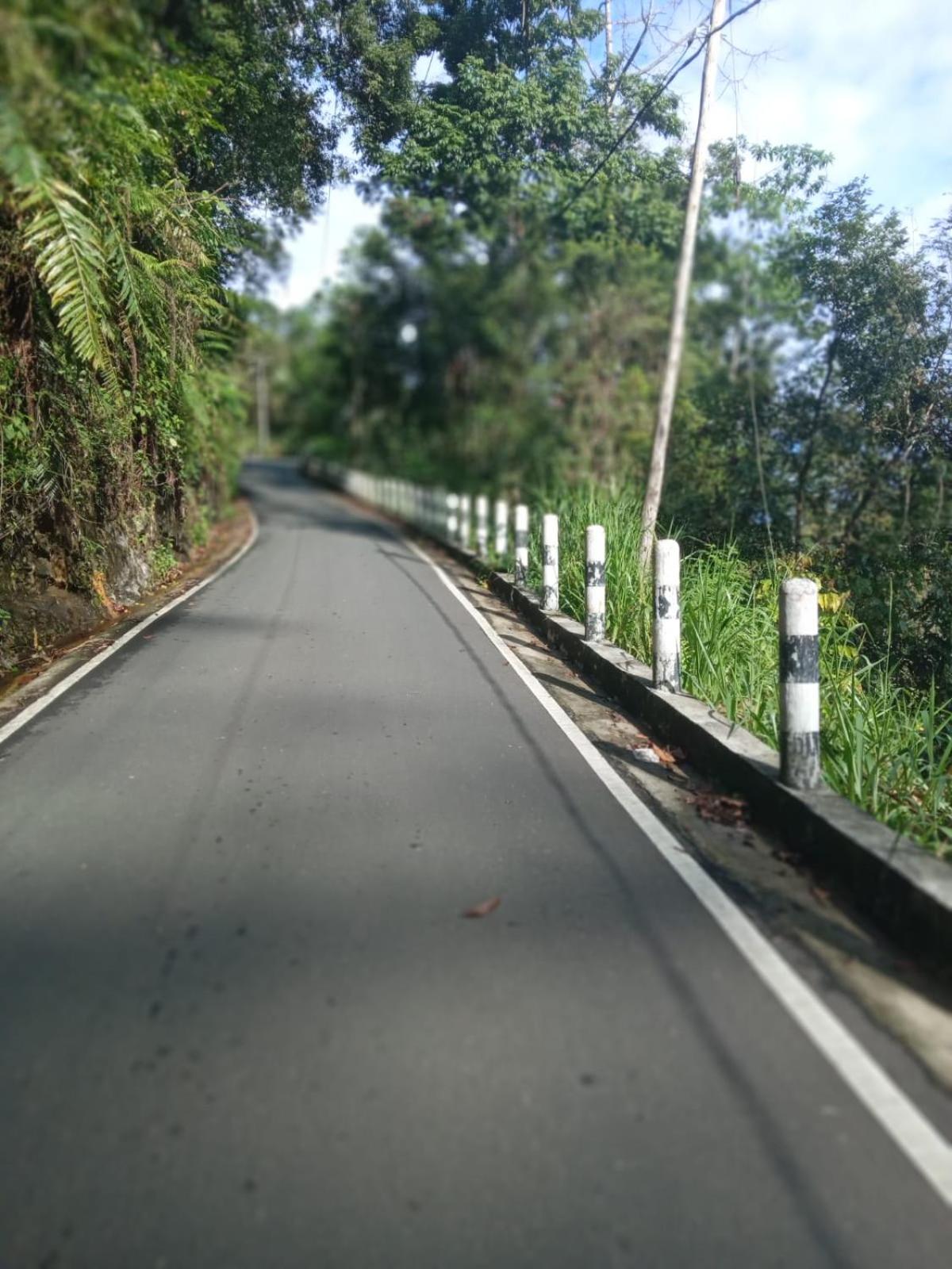 Woodland Hideaway in Sinharaja