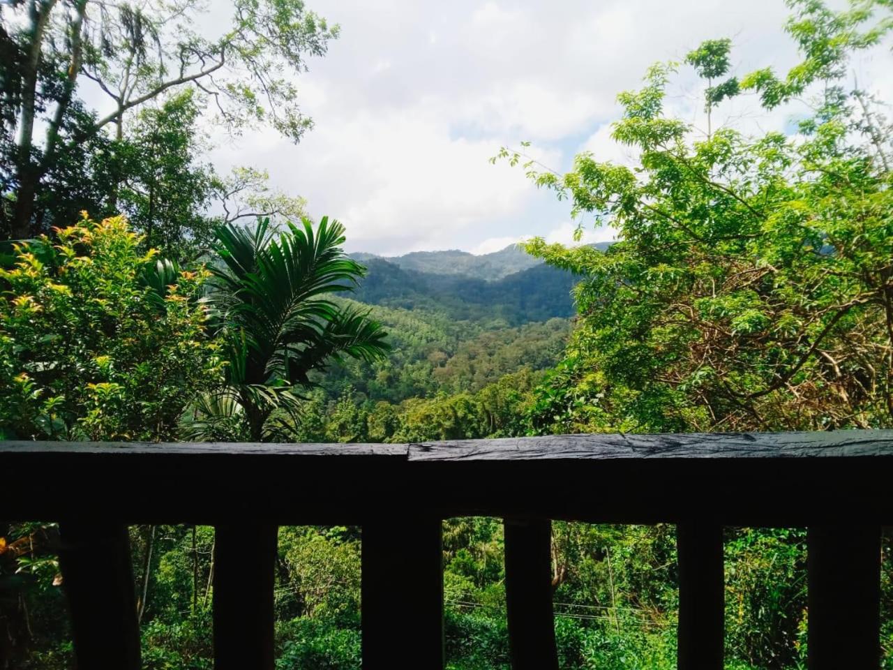 Woodland Hideaway in Sinharaja