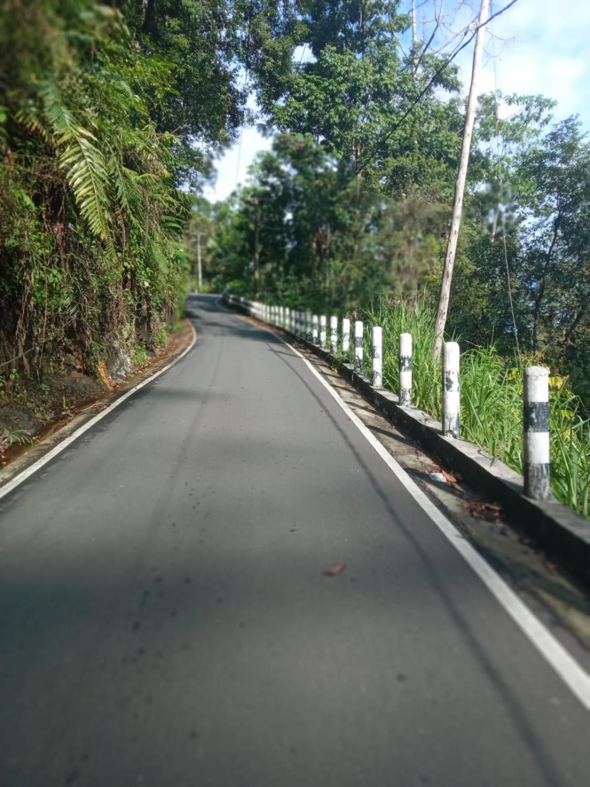 Woodland Hideaway in Sinharaja