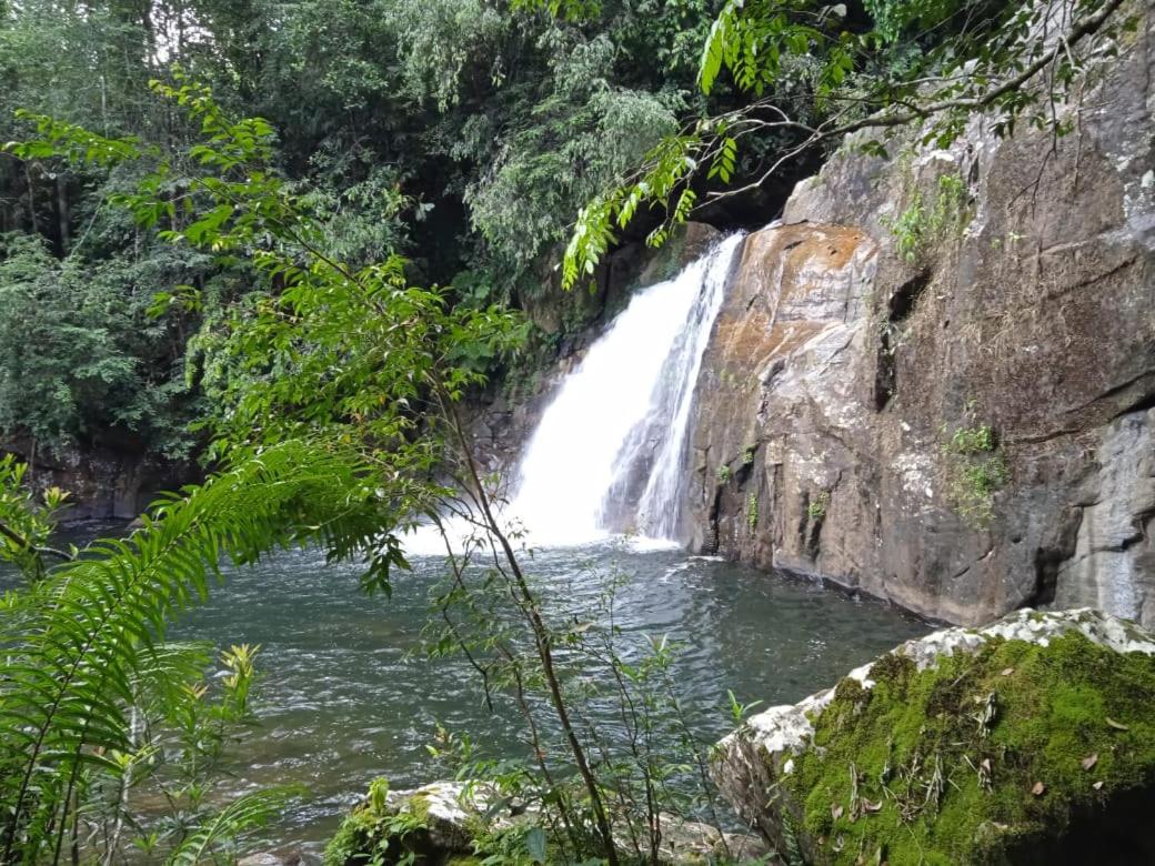 Woodland Hideaway in Sinharaja