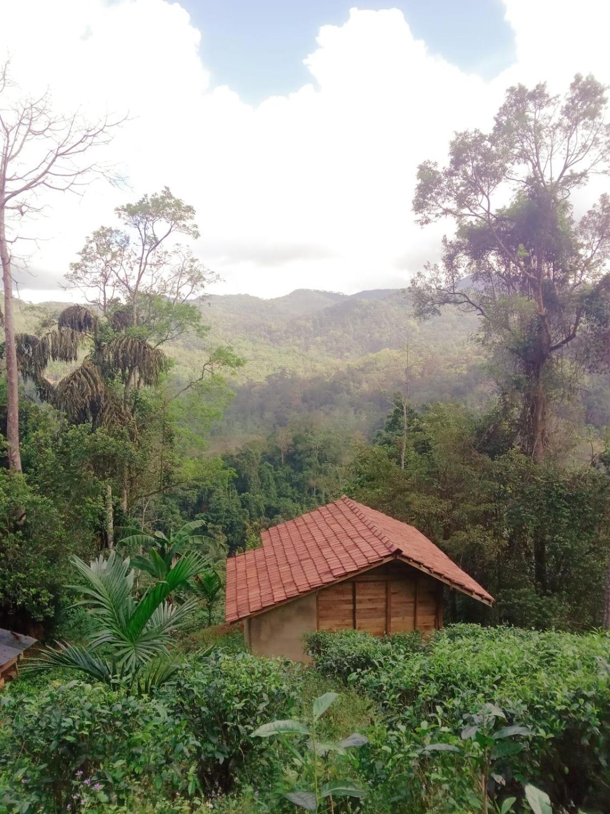 Woodland Hideaway in Sinharaja