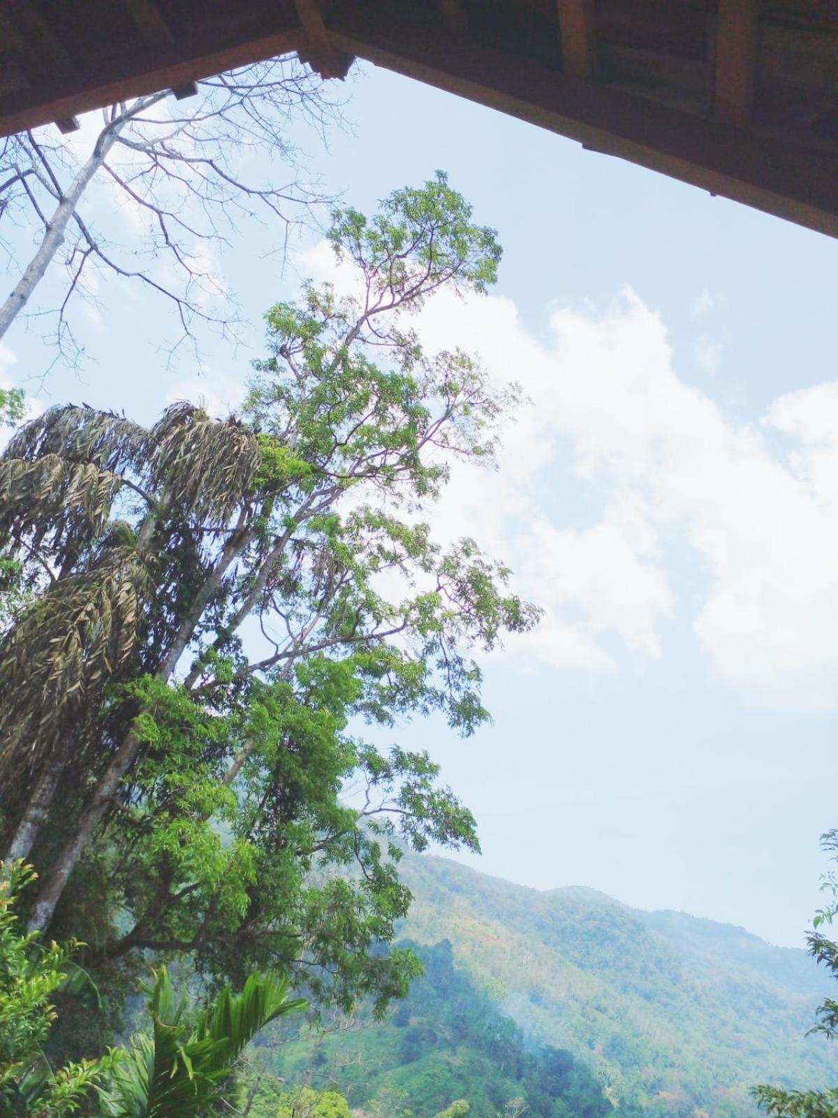 Woodland Hideaway in Sinharaja