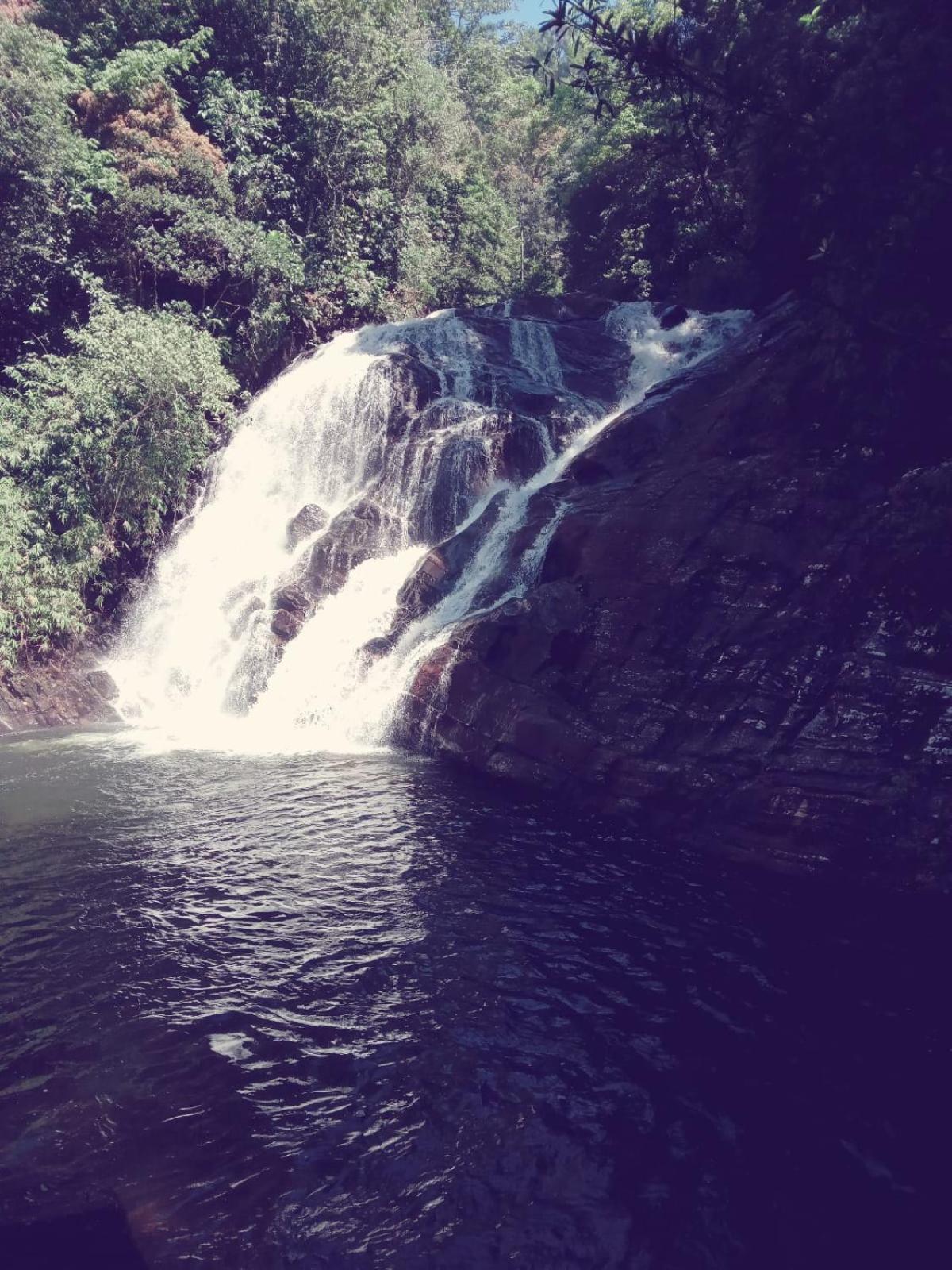 Woodland Hideaway in Sinharaja