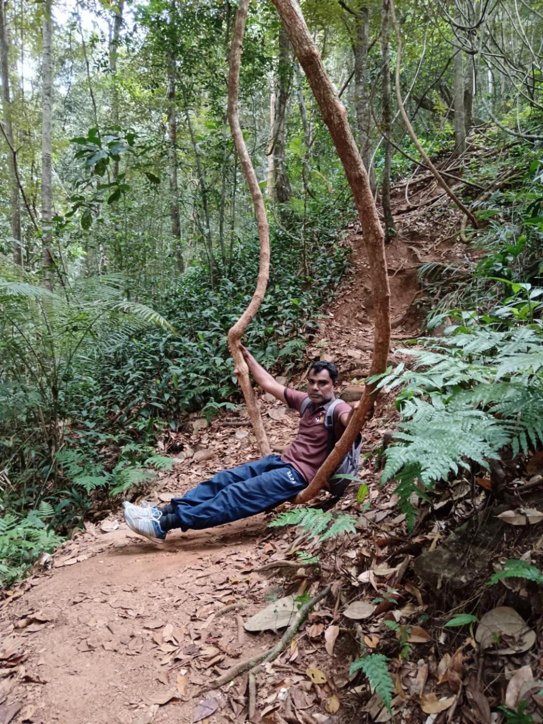 Woodland Hideaway in Sinharaja