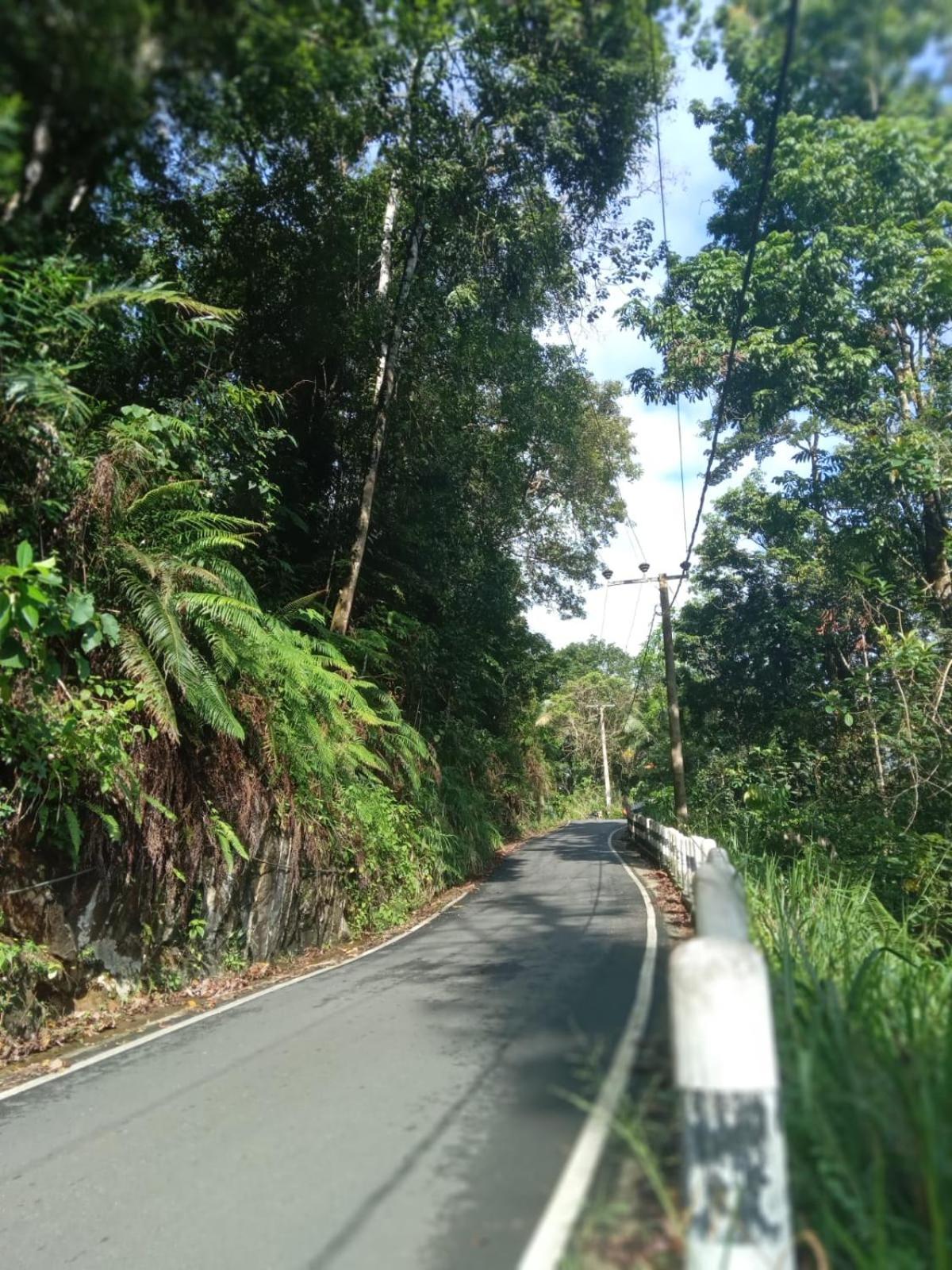 Woodland Hideaway in Sinharaja