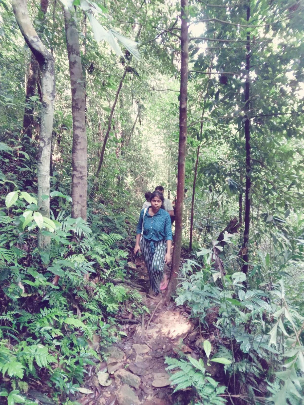 Woodland Hideaway in Sinharaja