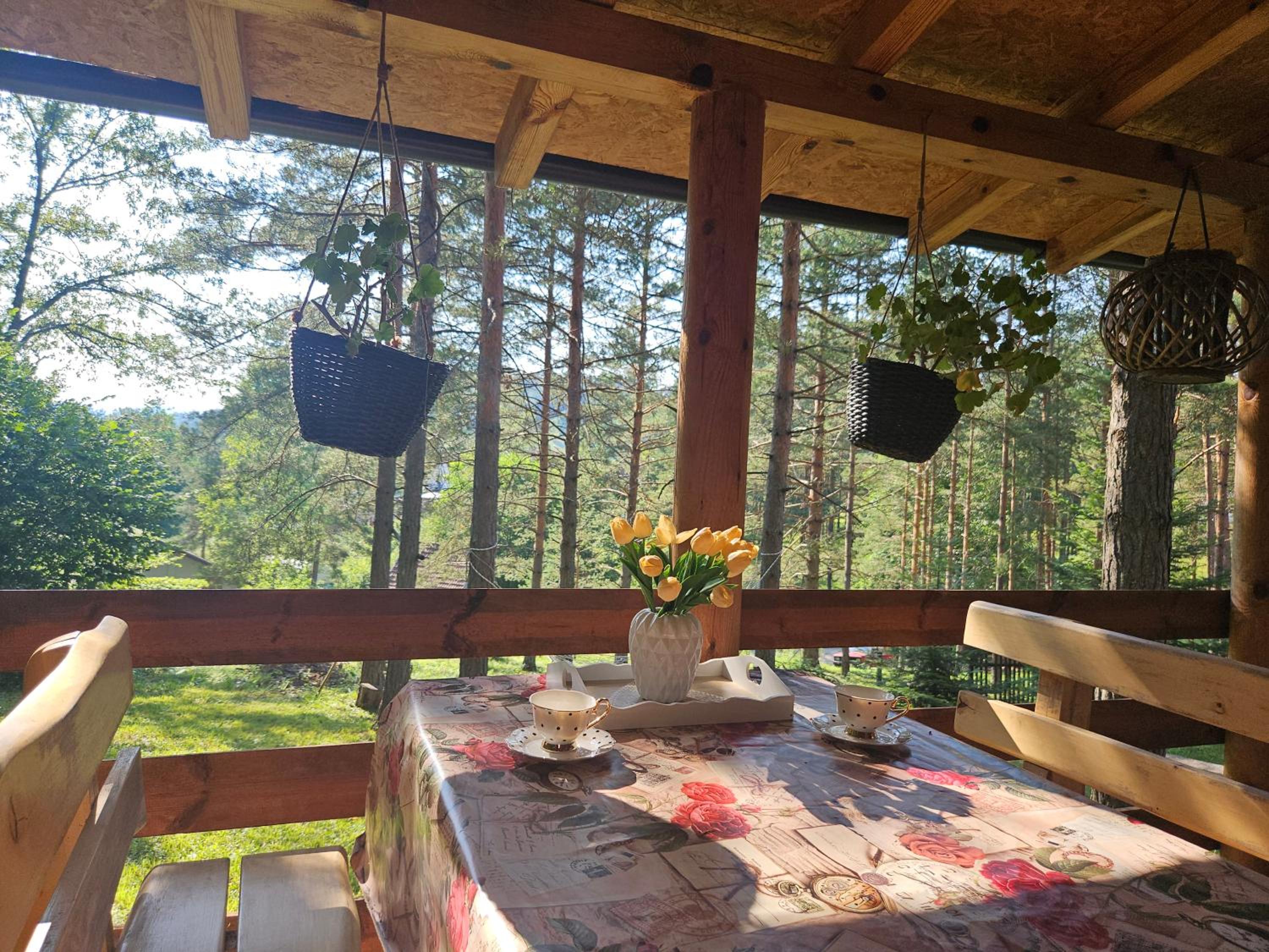 Vila Tatjana-Zlatibor