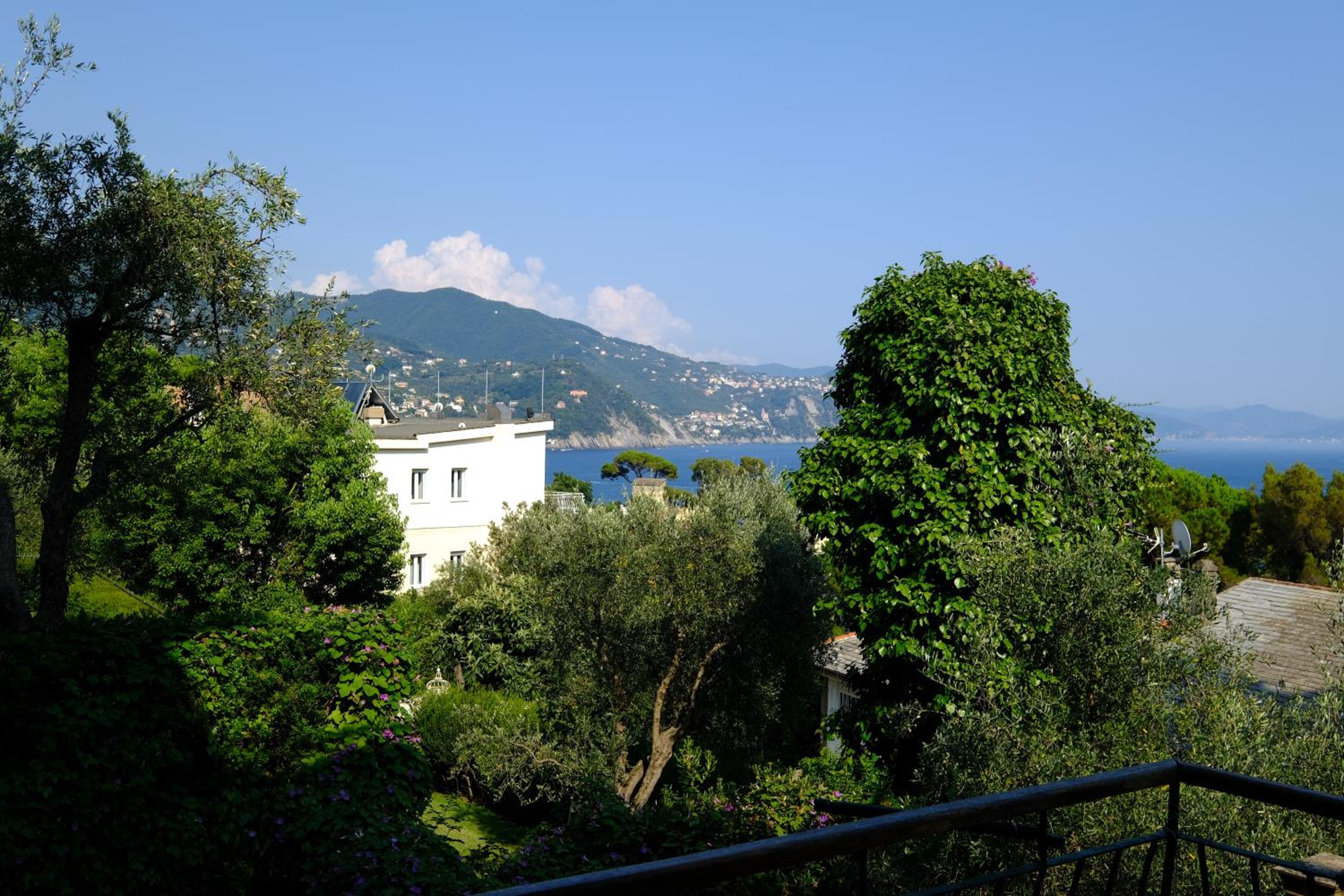 Photo 45