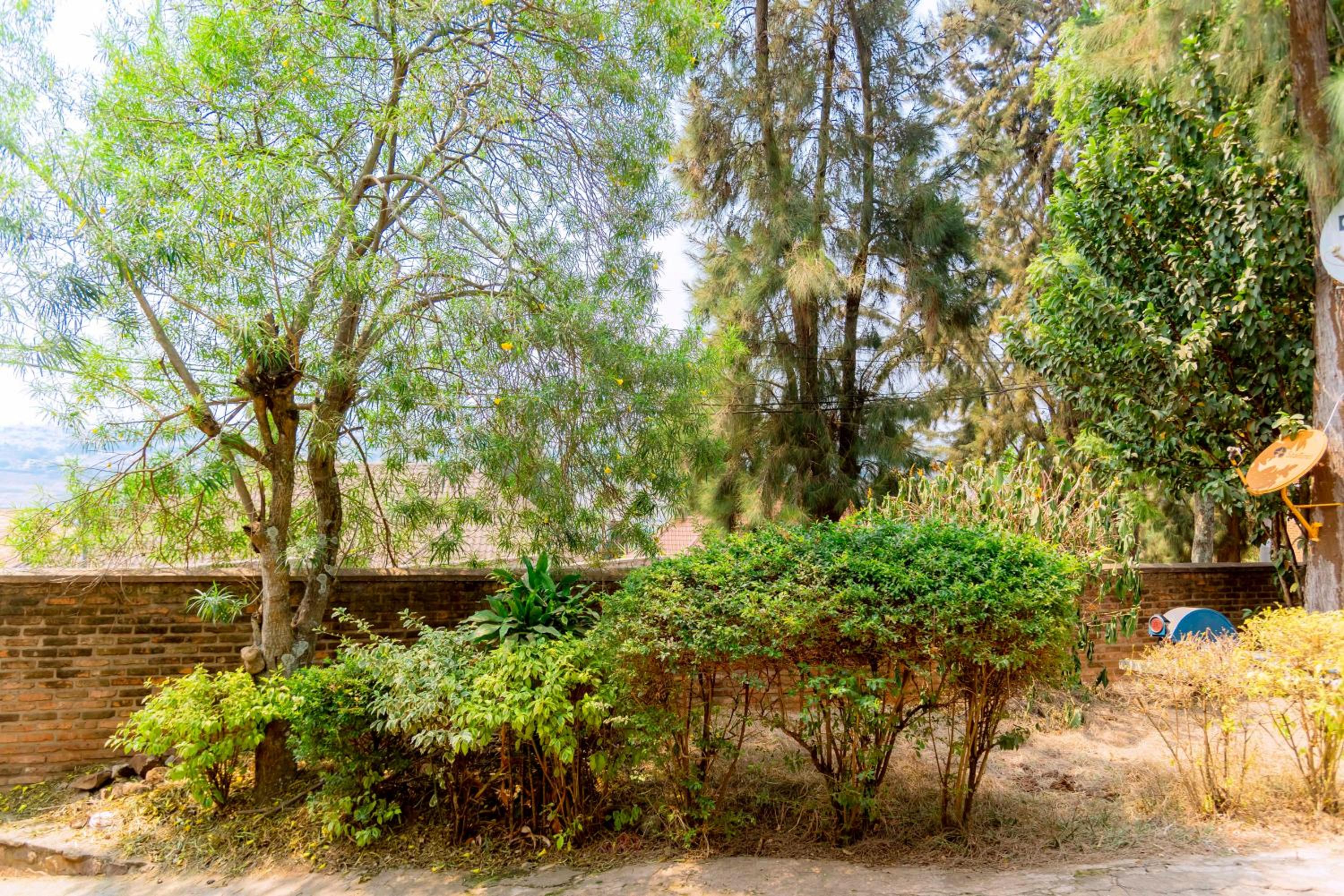 Cosy nature flat at the center of Kigali view 3