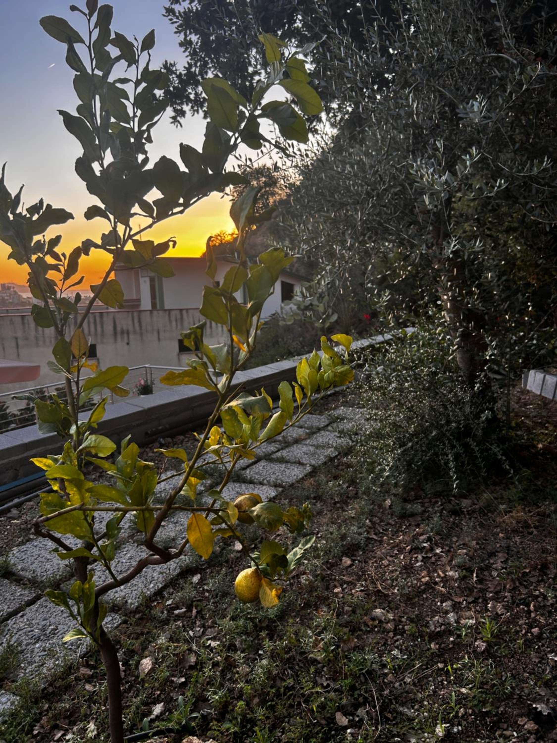 TownHouse Piraino SUITE SUPERIOR