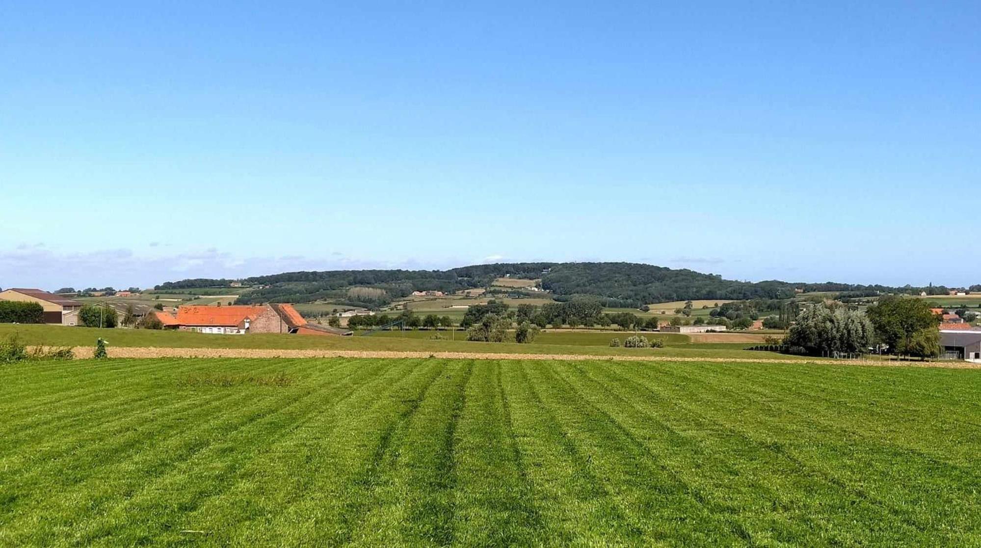 Garden Glamping Mirabelle