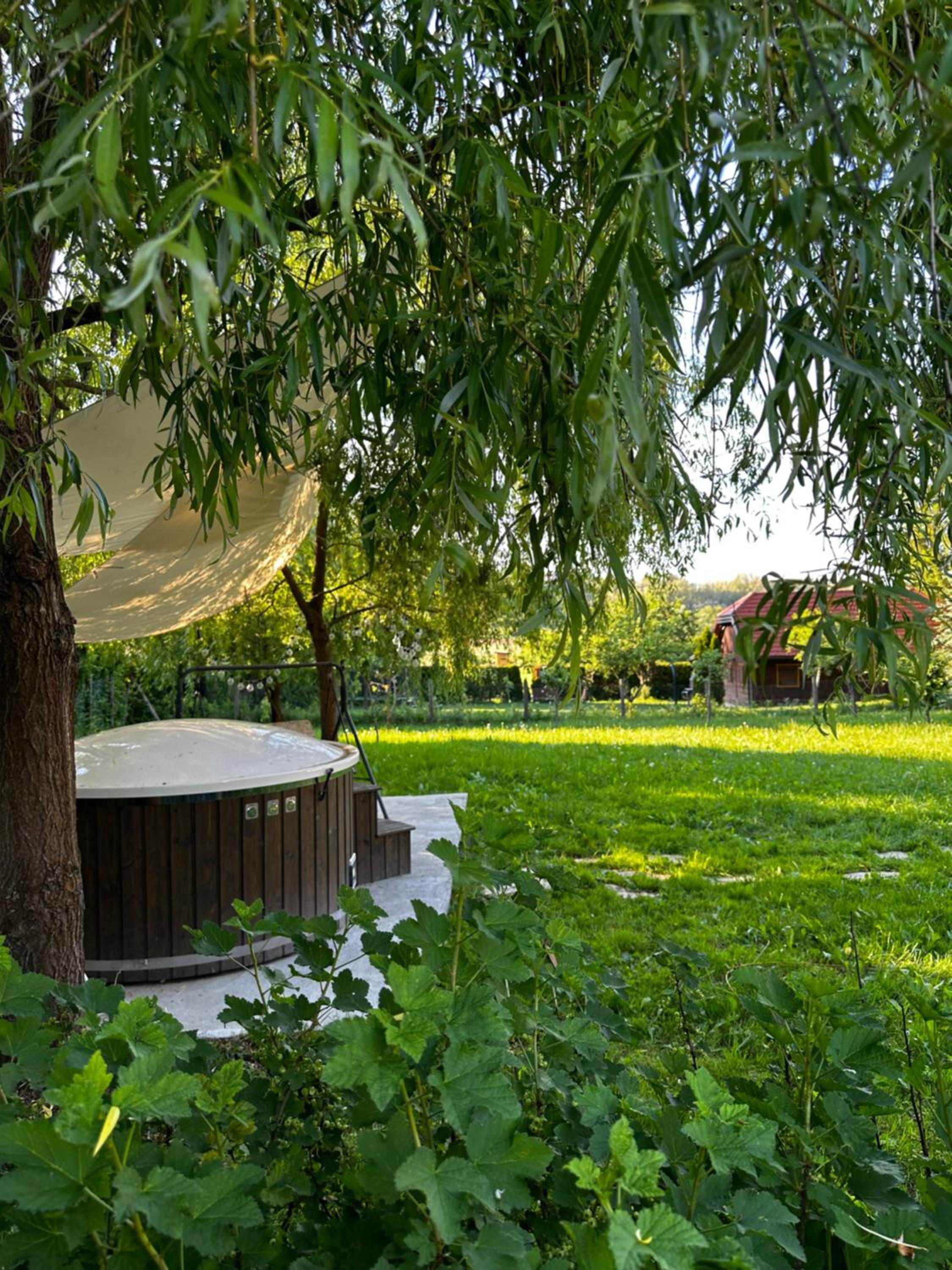 Kuća za odmor Zora view 2