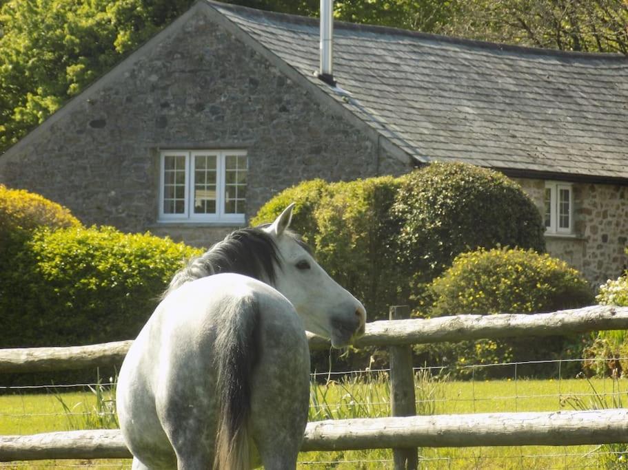 Lower Willsworthy Cottage