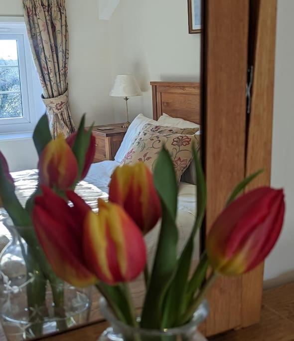 Lower Willsworthy Cottage