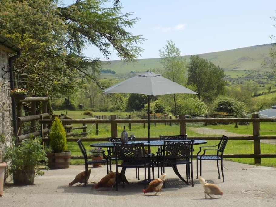 Lower Willsworthy Cottage