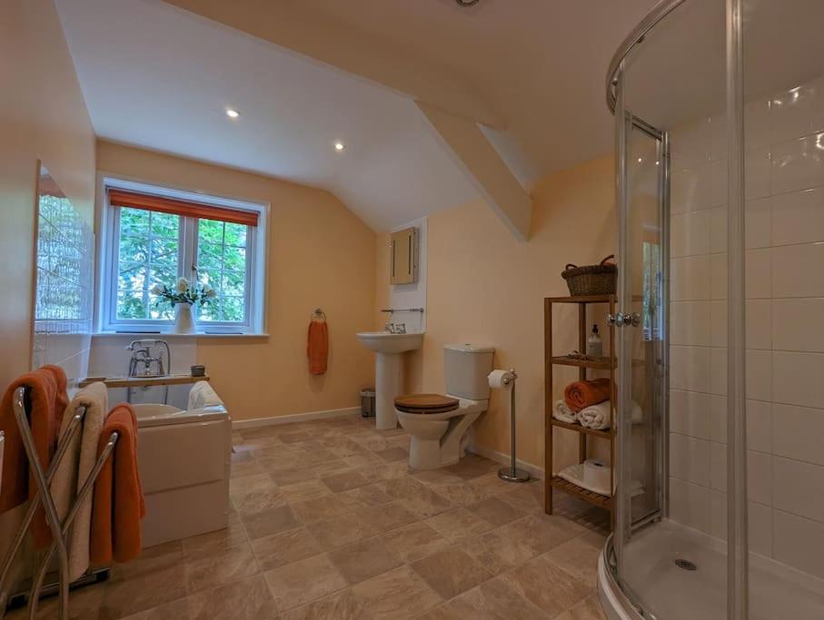 Lower Willsworthy Cottage