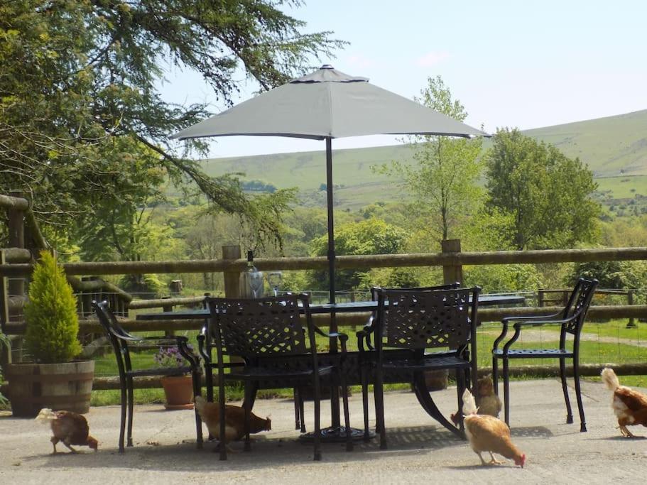 Lower Willsworthy Cottage