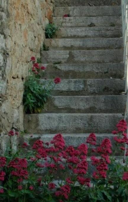 Bedroom for 3, in old Dalmatian house, under mountain, 14 km to NP Krka, 35 mins drive to Sibenik beach