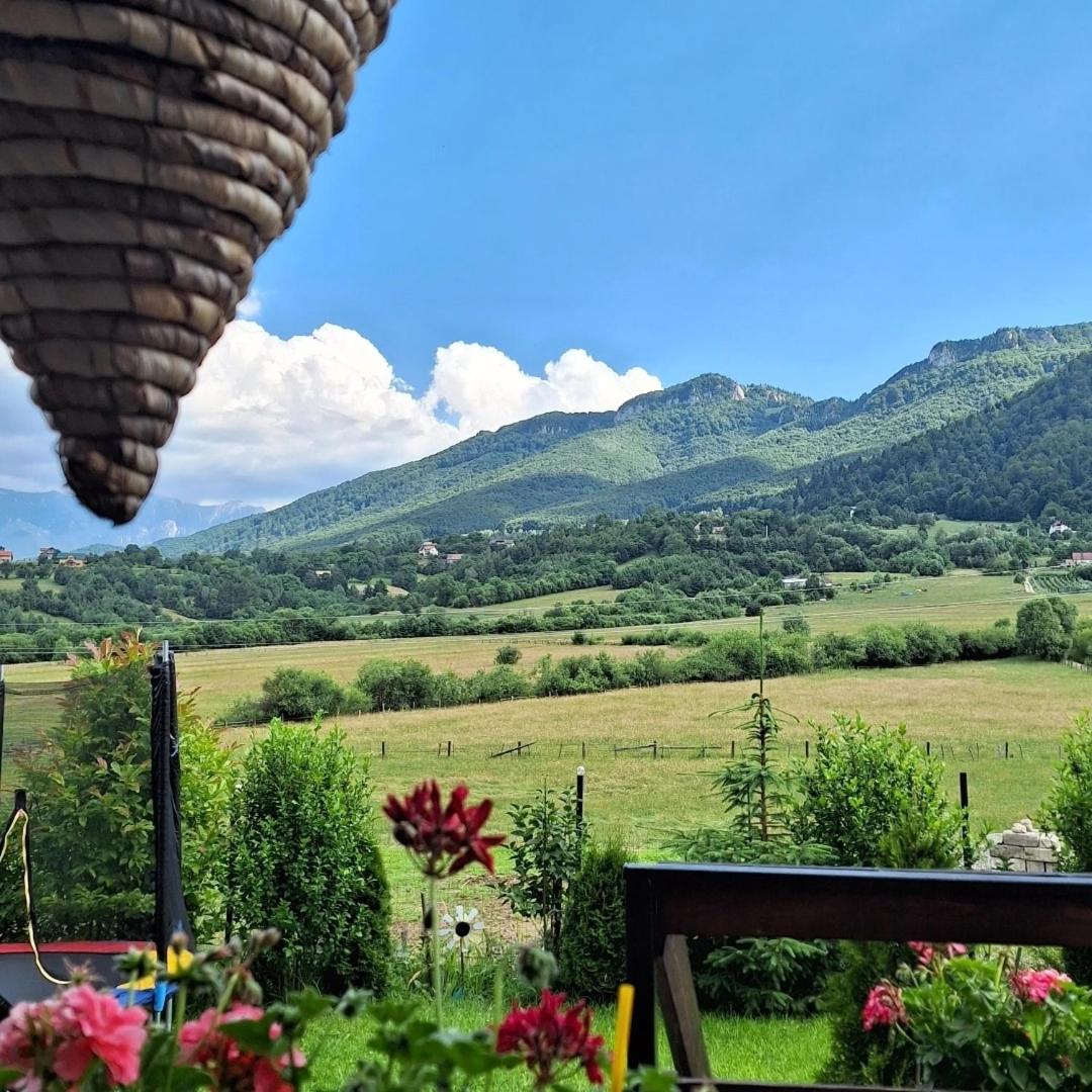 Casa Meresanu view 4