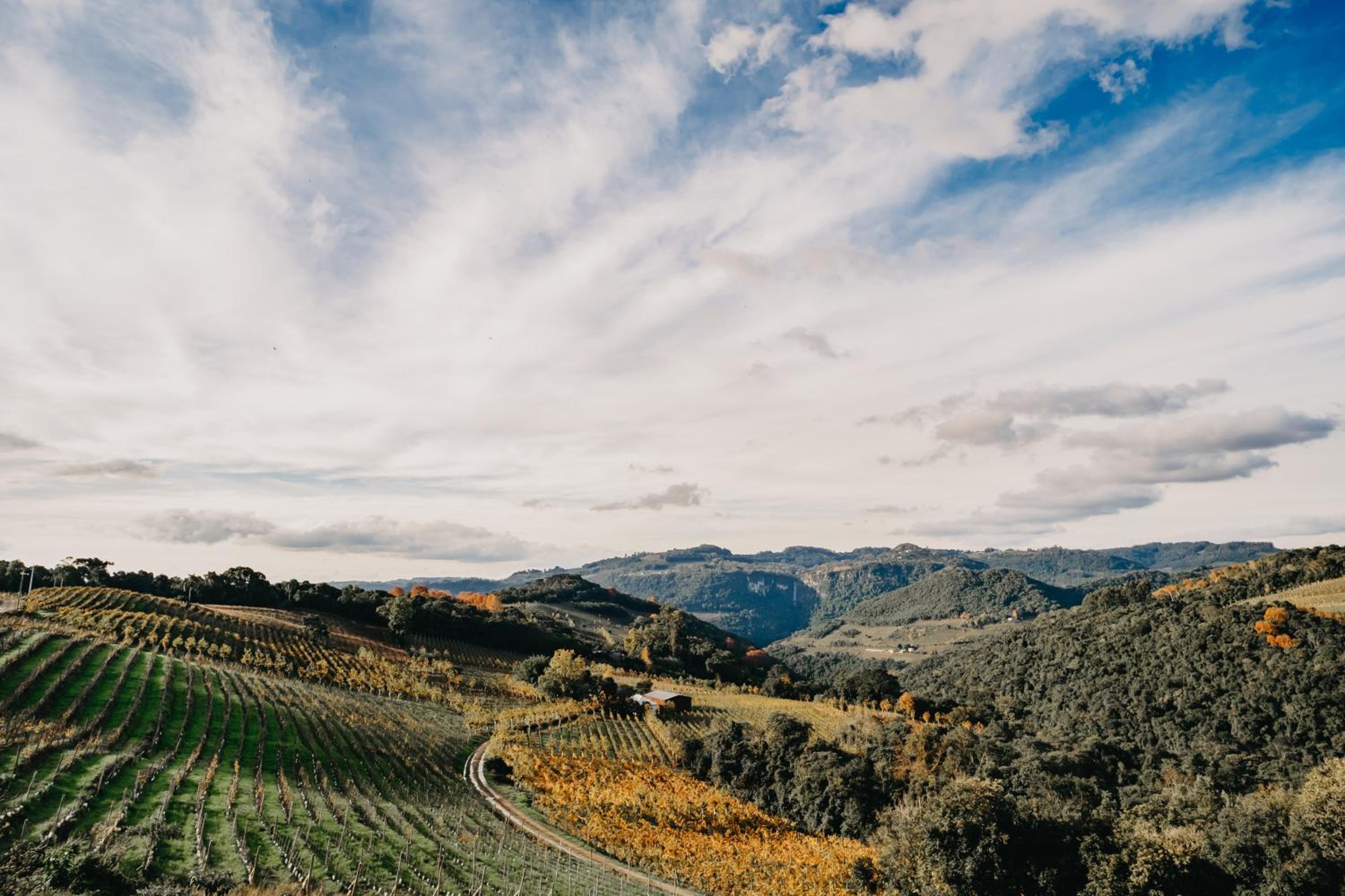 Pousada Refúgio dos Vinhedos