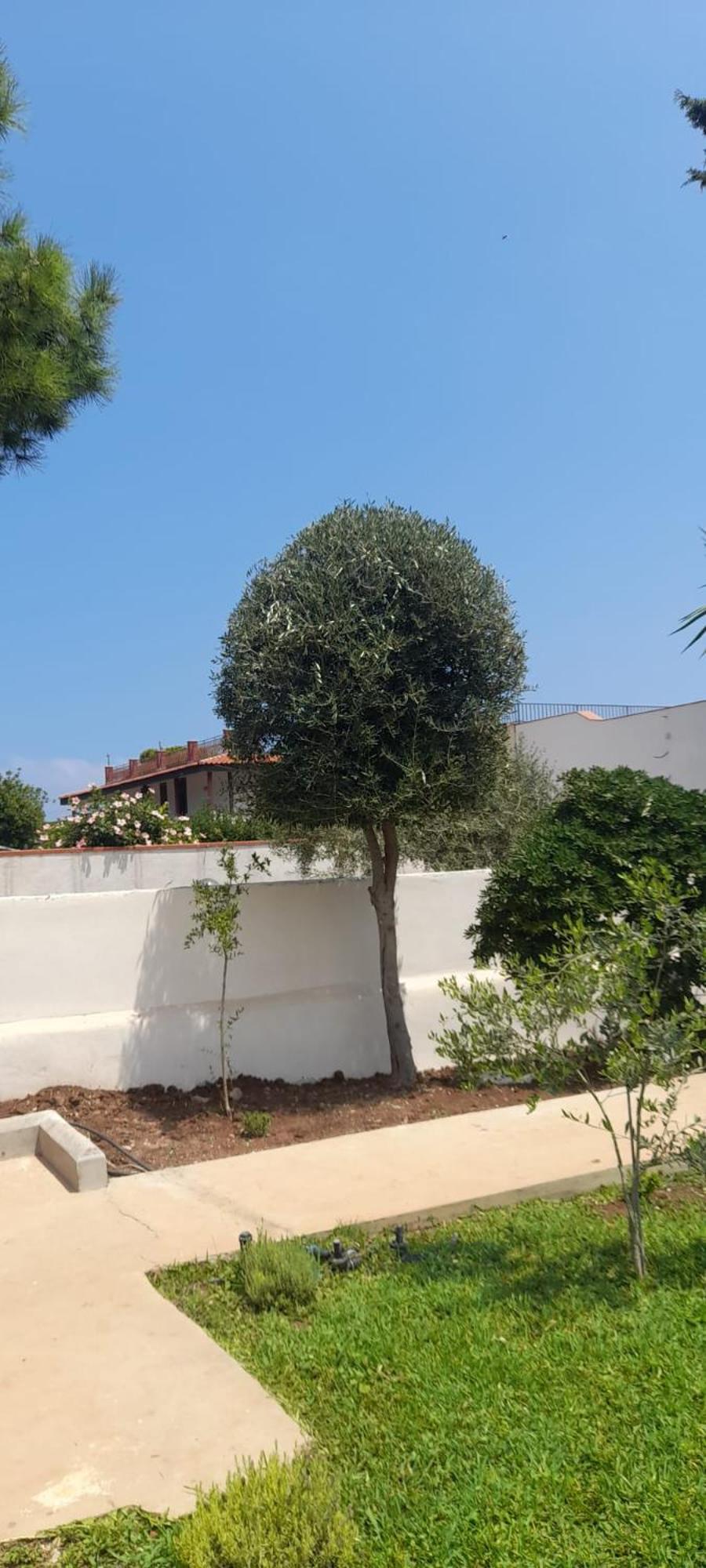 Villa Francesca