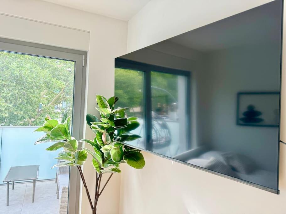 Rooftop Apartment with Balcony & Free Parking