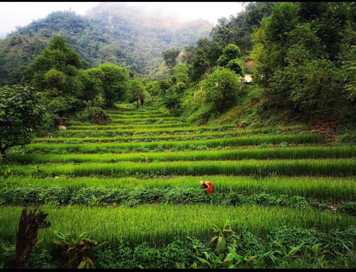 Panchajanya Home Stay