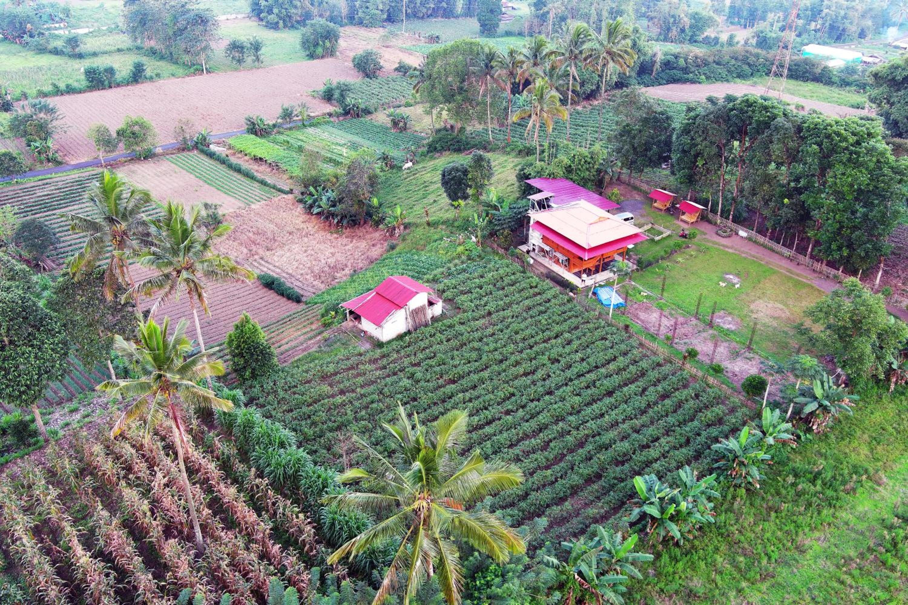 Villa Lokon Tomohon